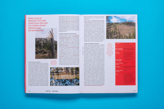 LP Magazine N.3 / Gianluca Camillini, Matteo Moretti / Foto: FIl