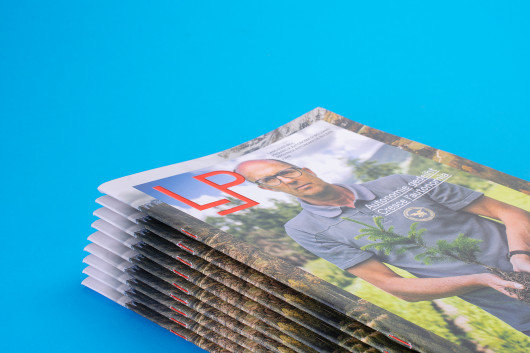 LP Magazine N.3 / Gianluca Camillini, Matteo Moretti /